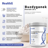 Buzdyganek Naziemny ekstrakt proszek 30g
