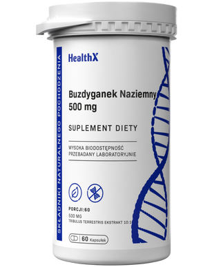 Buzdyganek Naziemny 10:1 ekstrakt 60 kapsułek